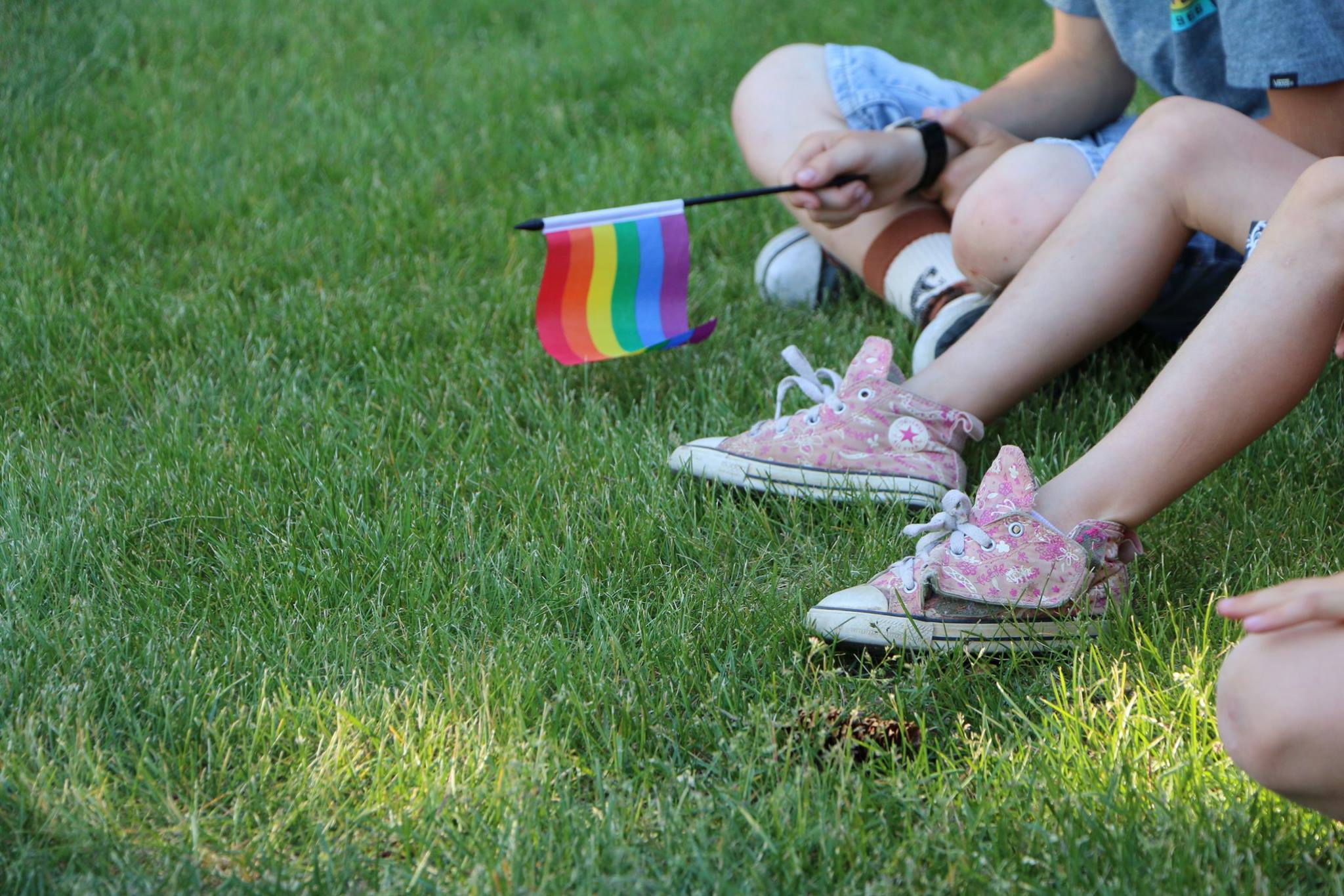 Children sitting on the grass holding a small pride Flag - June 1, 2019.